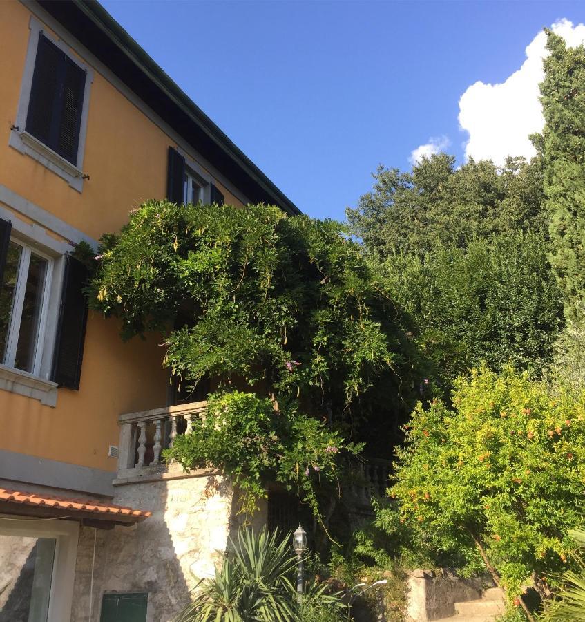Villa Monte Bianco Mandello del Lario Eksteriør bilde